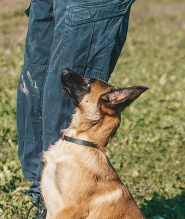 A3178 ~ ACME MOD 107 NECK LANYARD