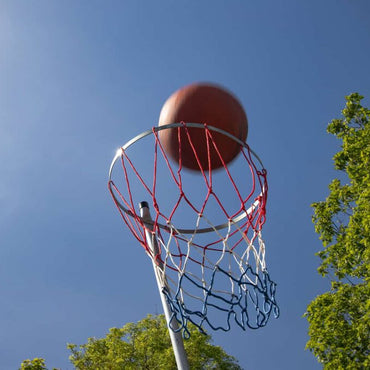 85305 ~ STAG NETBALL GOAL RING AND NET
