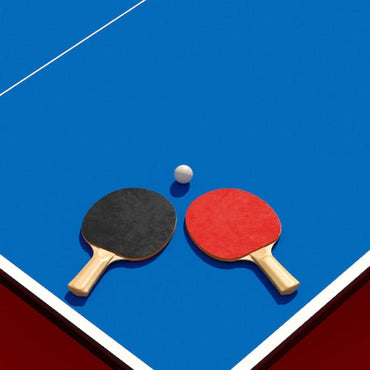 E1261 ~ SUNFLEX TT SET 20117 PONG