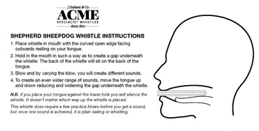 A3171 ~ ACME SHEPHERDS ROSE GOLD