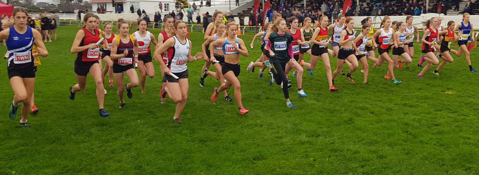 Running Track Spikes, Studs, Ball Pumps & Needles