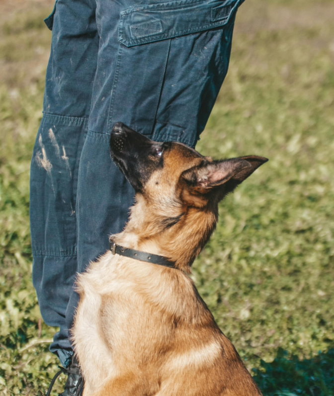 A3178      ~ ACME MOD 107 NECK LANYARD