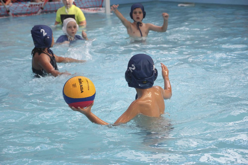 485        ~ MIKASA W/POLO/B W6608W FLIP S2