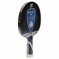 E3005      ~ SUNFLEX TT BAT DYNAMIC A40