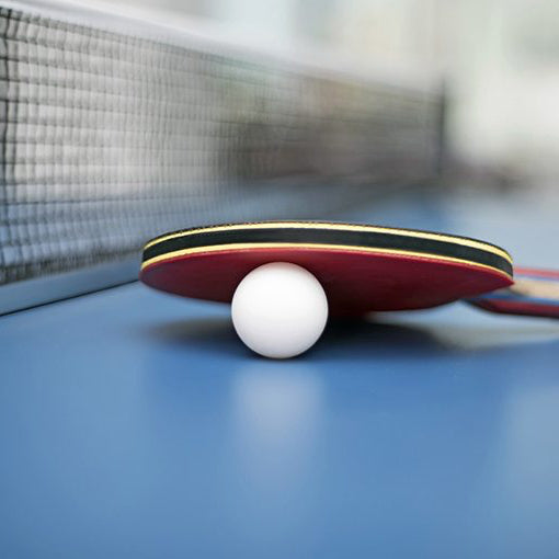 E2131      ~ SUNF TT BALL TRAIN WH 20605 -6