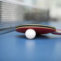 E2131      ~ SUNF TT BALL TRAIN WH 20605 -6