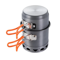 20273      ~ FIREMAPLE SOLO POT T217