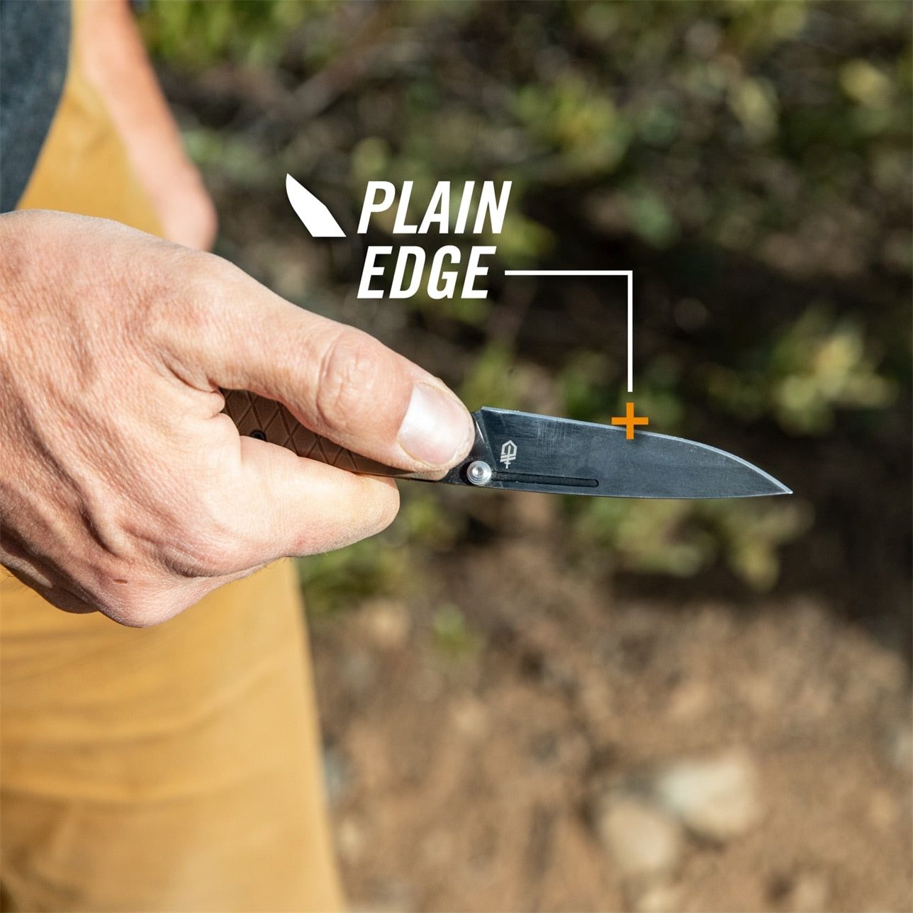 34484      ~ GERBER ZILCH FOLDER BLACK