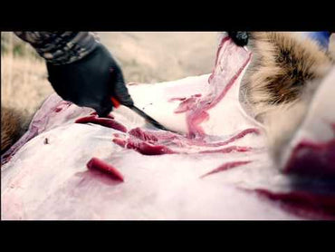 361071     ~ OUT EDGE RAZOR-PRO G ORG